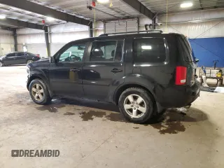 2009 Honda Pilot EX-L with VIN 5FNYF48519B017526, listed as a Copart auction lot 52341745 with 130,619 mi miles and Salvage Title. Bid and sale history available at carsss.com. Image 2.
