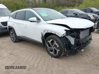 2023 Hyundai Tucson Limited with VIN 5NMJECAE1PH250973, listed as a IAAI auction lot 42166021 with 34,399 mi miles and . Bid and sale history available at DreamBid. Image 1.