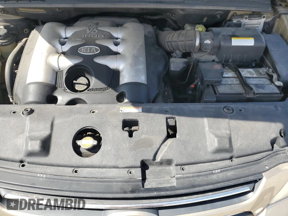 2006 Kia Sedona LX with VIN KNDMB233X66073539, listed as a Copart auction lot 50529815 with 172,896 mi miles and Salvage Title. Bid and sale history available at carsss.com. Image 12.