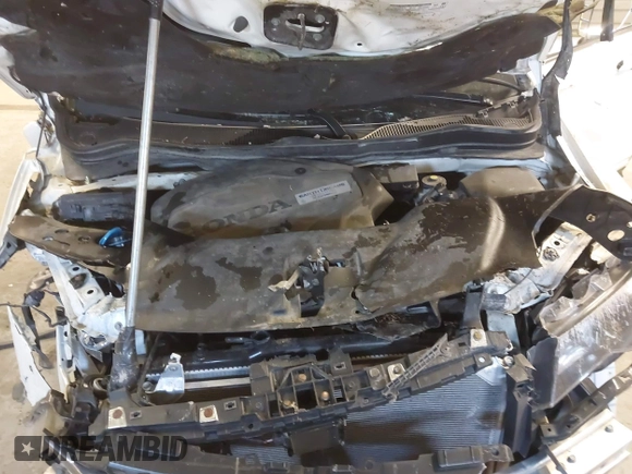 2019 Honda Pilot EX-L with VIN 5FNYF6H57KB050130, listed as a IAAI auction lot 42052495 with Not Provided miles and . Bid and sale history available at carsss.com. Image 10.