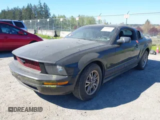 2005 Ford Mustang Deluxe with VIN 1ZVFT80N455171384, listed as a IAAI auction lot 42068853 with 258,491 mi miles. Bid and sale history available at carsss.com. Image 2.