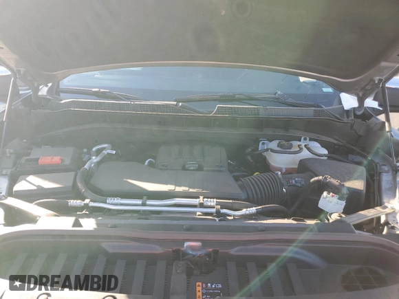 2024 Chevrolet Silverado 1500 LT with VIN 1GCPACEK1RZ299160, listed as a Copart auction lot 81198374 with 17,904 mi miles and Clean Title. Bid and sale history available at DreamBid. Image 11.