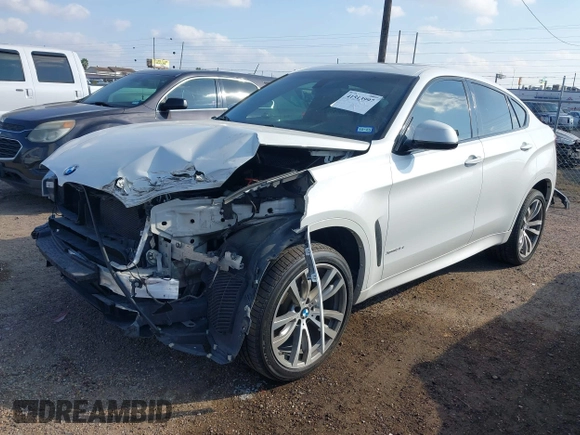2018 BMW X6 xDrive35i with VIN 5UXKU2C55J0X49585, listed as a IAAI auction lot 41513997 with 57,204 mi miles. Bid and sale history available at carsss.com. Image 18.