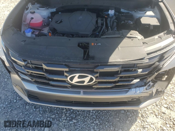 2025 Hyundai Tucson SEL Convenience with VIN 5NMJCCDE5SH495270, listed as a Copart auction lot 48699785 with 1,307 mi miles and Salvage Title. Bid and sale history available at carsss.com. Image 12.