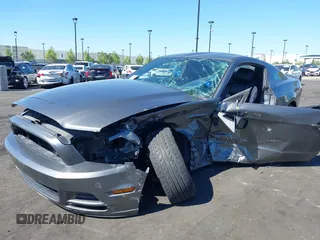 2013 Ford Mustang V6 with VIN 1ZVBP8AM2D5228334, listed as a IAAI auction lot 42164895 with Not provided miles and . Bid and sale history available at DreamBid. Image 6.