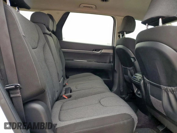 2020 Hyundai Palisade SE с VIN KM8R14HE8LU040640, выставлен на аукционе Copart как лот 58182065 с пробегом 82 294 миль миль и Списание • Salvage title. История ставок и продаж доступна на DreamBid. Изображение 11.