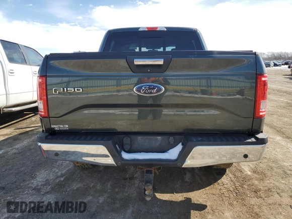 2015 Ford F-150 XLT with VIN 1FTEW1EG7FKD27007, listed as a Copart auction lot 46314205 with 156,171 mi miles and Salvage Title. Bid and sale history available at carsss.com. Image 6.