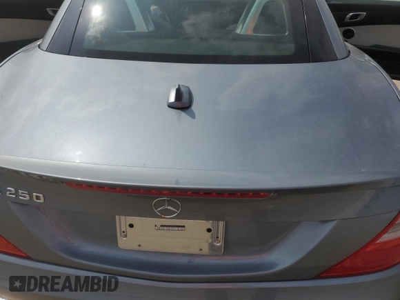 2013 Mercedes-Benz SLK 250 with VIN WDDPK4HA1DF057927, listed as a Copart auction lot 49314755 with 53,876 mi miles and Salvage title. Bid and sale history available at DreamBid. Image 10.