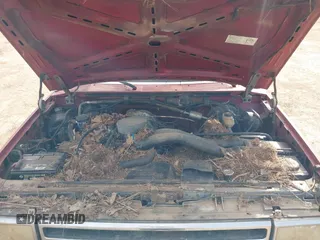1991 Ford F-150 with VIN 1FTEX15N2MKB29623, listed as a IAAI auction lot 41880826 with 14,556 mi miles. Bid and sale history available at carsss.com. Image 10.