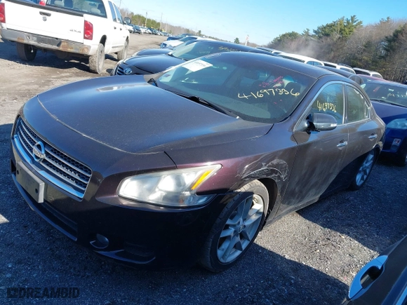 2010 Nissan Maxima 3.5 SV w/Premium Pkg with VIN 1N4AA5AP7AC830927, listed as a IAAI auction lot 41697336 with 122,153 mi miles. Bid and sale history available at carsss.com. Image 2.
