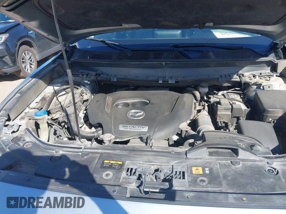 2018 Mazda CX-9 Touring with VIN JM3TCACY9J0219396, listed as a IAAI auction lot 41700710 with 123,383 mi miles and . Bid and sale history available at carsss.com. Image 10.