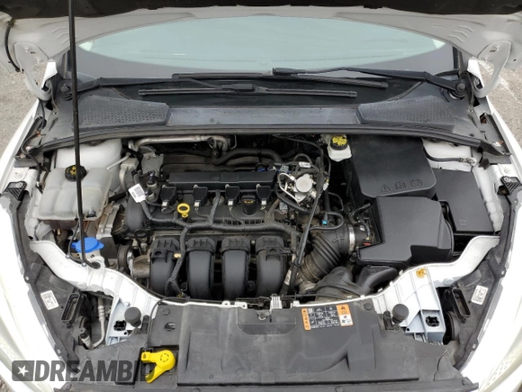 2017 Ford Focus SE with VIN 1FADP3K23HL246974, listed as a Copart auction lot 55285325 with 119,770 mi miles and Clean Title. Bid and sale history available at carsss.com. Image 11.