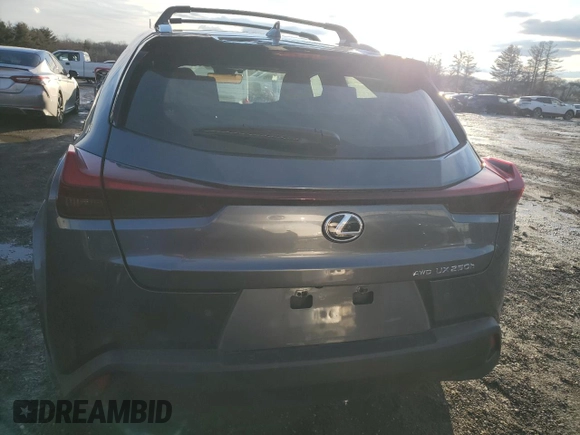 2024 Lexus UX 250h Premium with VIN JTHP9JBH0R2073933, listed as a Copart auction lot 44795495 with 3,888 mi miles and Salvage title. Bid and sale history available at DreamBid. Image 6.