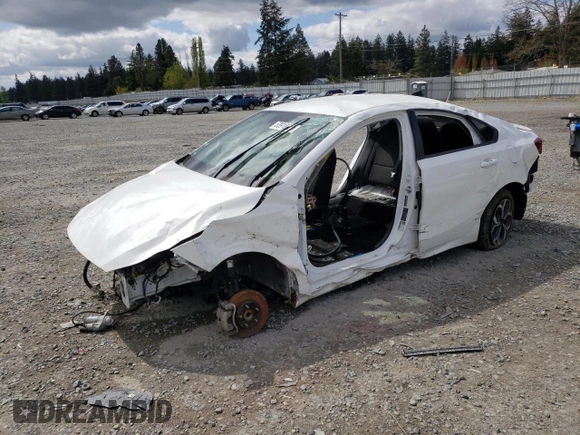 2019 Kia Forte LXS with VIN 3KPF24AD8KE033495, listed as a Copart auction lot 53918625 with Not provided miles and Non repairable. Bid and sale history available at DreamBid. Image 1.