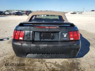 2000 Ford Mustang with VIN 1FAFP4448YF282672, listed as a Copart auction lot 81999314 with 224,031 mi miles and Salvage Title. Bid and sale history available at carsss.com. Image 6.