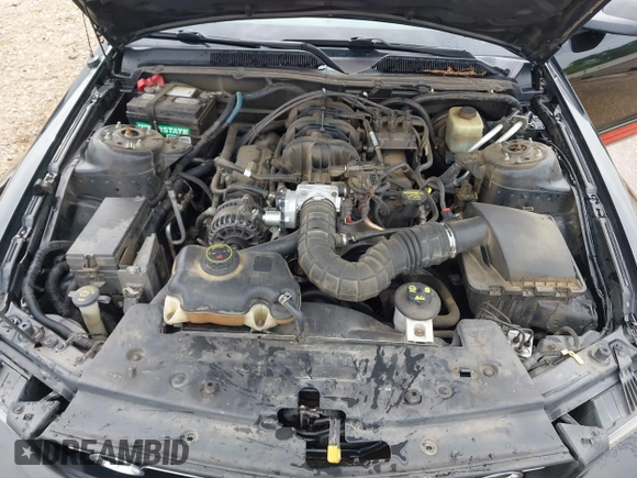 2006 Ford Mustang Standard with VIN 1ZVFT80N965157675, listed as a IAAI auction lot 42472331 with 153,220 mi miles and . Bid and sale history available at DreamBid. Image 19.