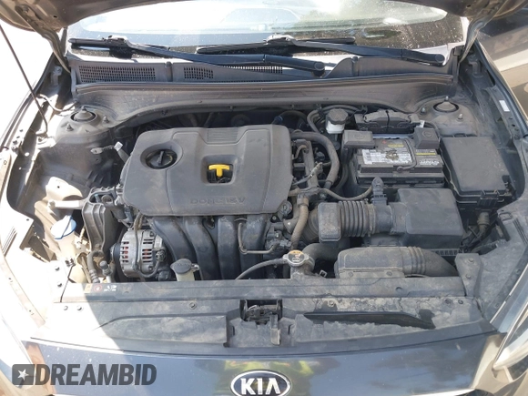 2019 Kia Forte LXS with VIN 3KPF24AD6KE137970, listed as a IAAI auction lot 42603942 with 119,525 mi miles and . Bid and sale history available at DreamBid. Image 10.