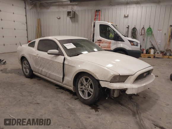 2013 Ford Mustang V6 with VIN 1ZVBP8AM0D5281131, listed as a IAAI auction lot 41447563 with 119,820 mi miles. Bid and sale history available at carsss.com. Image 1.