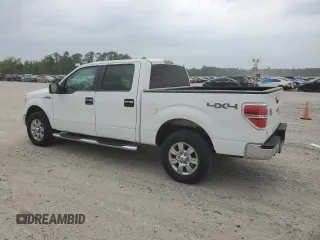 2009 Ford F-150 XL with VIN 1FTRW14849FA84538, listed as a Copart auction lot 51106215 with 165,411 mi miles and Clean title. Bid and sale history available at DreamBid. Image 2.