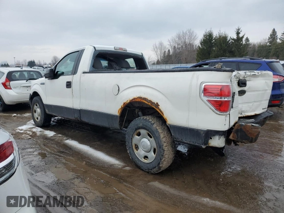 2011 Ford F-150 XL with VIN 1FTMF1CM1BKD05194, listed as a Copart auction lot 46978265 with Not Provided miles and Salvage Title. Bid and sale history available at DreamBid. Image 2.