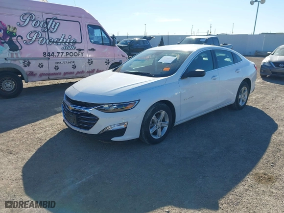 2024 Chevrolet Malibu LS with VIN 1G1ZC5ST4RF192996, listed as a IAAI auction lot 41164546 with 24,917 mi miles. Bid and sale history available at carsss.com. Image 17.