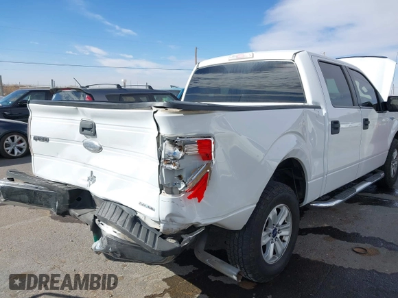 2011 Ford F-150 XL with VIN 1FTEW1CM0BFC15564, listed as a IAAI auction lot 41710176 with 143,554 mi miles and . Bid and sale history available at DreamBid. Image 6.