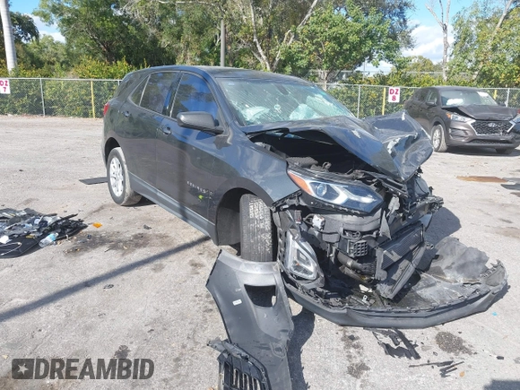 2018 Chevrolet Equinox LS with VIN 3GNAXHEV4JL265793, listed as a IAAI auction lot 41018511 with Not Provided miles and . Bid and sale history available at DreamBid. Image 1.