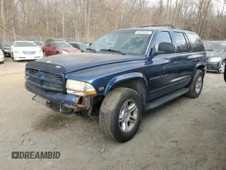 2000 Dodge Durango with VIN 1B4HS28Z1YF227831, listed as a Copart auction lot 46294585 with 207,843 mi miles and Salvage Title. Bid and sale history available at DreamBid. Image 1.