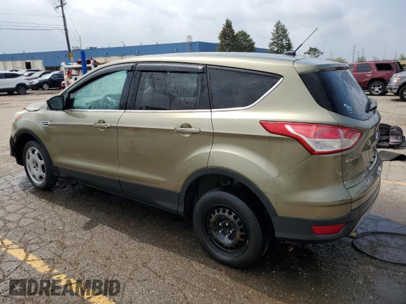 2013 Ford Escape SE с VIN 1FMCU0GX8DUC57566, выставлен на аукционе Copart как лот 55132135 с пробегом 142 402 миль миль и Чистый • Clean title. История ставок и продаж доступна на DreamBid. Изображение 2.