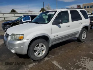 2006 Ford Escape Hybrid with VIN 1FMYU96H96KB49430, listed as a Copart auction lot 49249555 with 251,524 mi miles and Salvage Title. Bid and sale history available at carsss.com. Image 1.