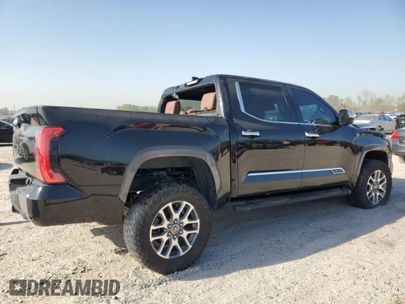2022 Toyota Tundra 1794 Edition with VIN 5TFMA5DB2NX033703, listed as a Copart auction lot 47841975 with 48,755 mi miles and Salvage title. Bid and sale history available at DreamBid. Image 3.