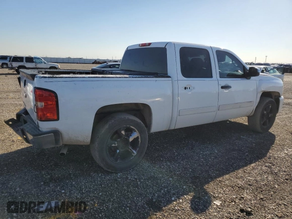 2007 Chevrolet Silverado 1500 Work Truck with VIN 2GCEC13J071720646, listed as a Copart auction lot 88999805 with Not Provided miles and Salvage Title. Bid and sale history available at DreamBid. Image 3.