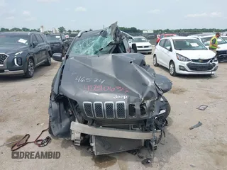 2019 Jeep Cherokee Limited z VIN 1C4PJLDB0KD487950, wystawiony jako IAAI lot #42290635 z przebiegiem Nie podano mil oraz . Historia ofert i sprzedaży dostępna na DreamBid. Obrazek 11.