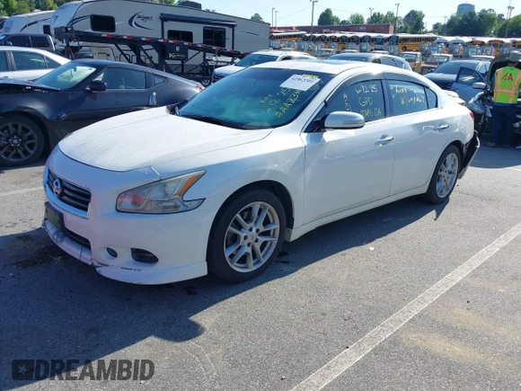 2010 Nissan Maxima SV with VIN 1N4AA5AP5AC871413, listed as a IAAI auction lot 42562201 with 146,070 mi miles and . Bid and sale history available at DreamBid. Image 2.