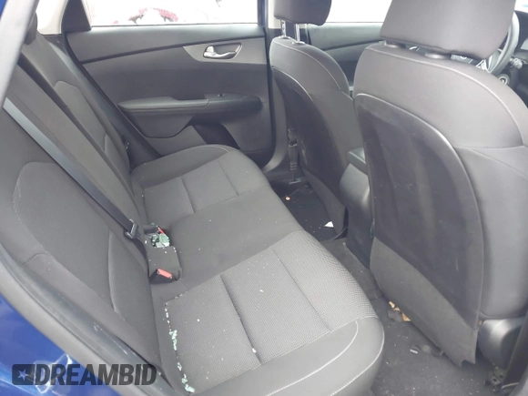 2019 Kia Forte LXS with VIN 3KPF24AD2KE124858, listed as a IAAI auction lot 41073436 with 95,218 mi miles. Bid and sale history available at carsss.com. Image 8.