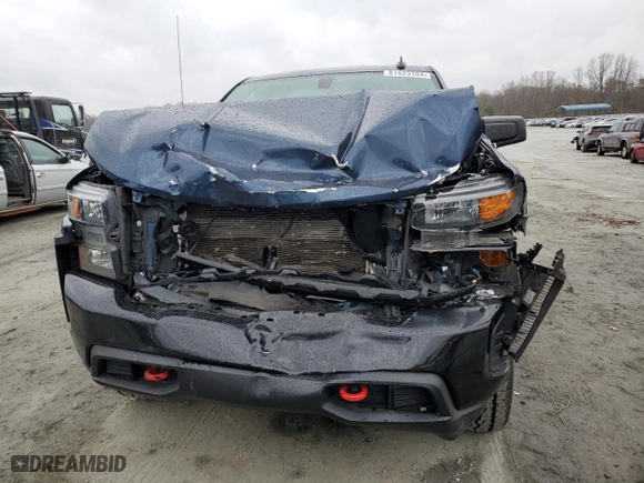 2019 Chevrolet Silverado 1500 Custom Trail Boss with VIN 3GCPYCEF1KG134620, listed as a Copart auction lot 81523704 with 46,661 mi miles and Salvage Title. Bid and sale history available at carsss.com. Image 5.