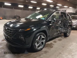 2024 Hyundai Tucson Limited with VIN 5NMJECDE5RH303897, listed as a IAAI auction lot 41955684 with 17,279 mi miles. Bid and sale history available at carsss.com. Image 2.