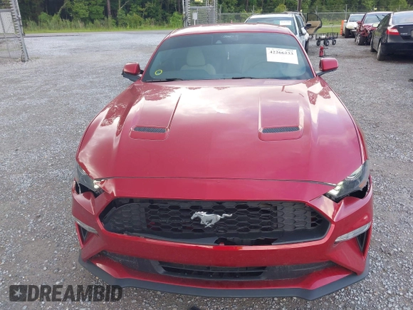 2022 Ford Mustang EcoBoost с VIN 1FA6P8TH0N5114862, выставлен на аукционе IAAI как лот 42266233 с пробегом 20 091 миль миль и . История ставок и продаж доступна на DreamBid. Изображение 13.