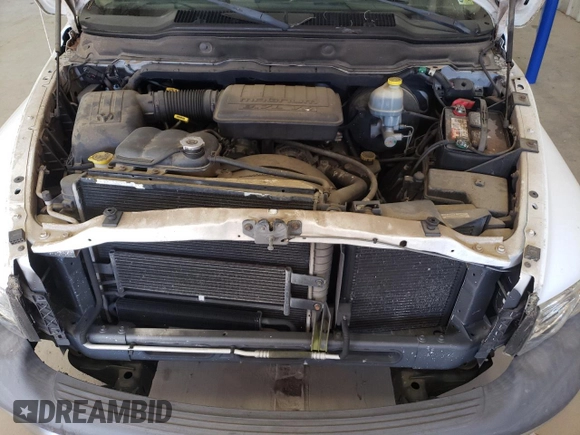 2002 Dodge 1500 z VIN 1D7HA16K82J217331, wystawiony jako Copart lot #54049875 z przebiegiem 71 046 mil mil oraz Nie do naprawy • Non repairable. Historia ofert i sprzedaży dostępna na DreamBid. Obrazek 11.