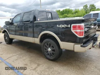 2010 Ford F-150 XL with VIN 1FTFW1EV7AKA98081, listed as a Copart auction lot 58248075 with 262,250 mi miles and Salvage title. Bid and sale history available at DreamBid. Image 2.