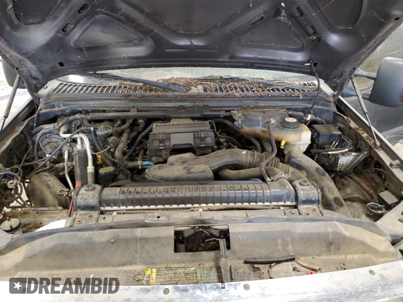 2005 Ford F-250 XL with VIN 1FTSX21525EC65362, listed as a Copart auction lot 53710725 with Not provided miles and Clean title. Bid and sale history available at DreamBid. Image 11.