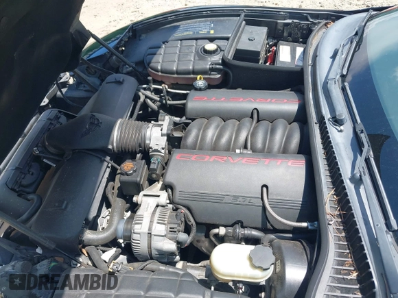 2002 Chevrolet Corvette with VIN 1G1YY32G725105771, listed as a IAAI auction lot 42693742 with 166,369 mi miles and . Bid and sale history available at DreamBid. Image 10.