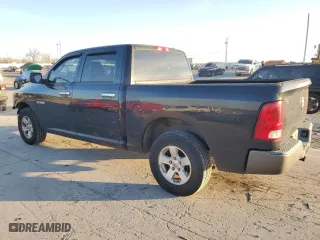 2009 Dodge Ram 1500 TRX with VIN 1D3HB13P89S796789, listed as a Copart auction lot 85600254 with 290,674 mi miles and Salvage Title. Bid and sale history available at carsss.com. Image 2.
