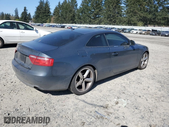 2009 Audi A5 with VIN WAUDK78T69A017408, listed as a Copart auction lot 53948485 with 194,232 mi miles and Salvage Title. Bid and sale history available at carsss.com. Image 3.