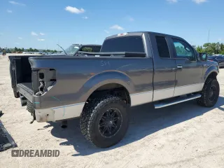 2011 Ford F-150 XL with VIN 1FTFX1CF3BFA39905, listed as a Copart auction lot 56494065 with 168,715 mi miles and Salvage title. Bid and sale history available at DreamBid. Image 3.