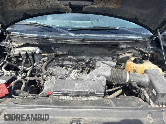 2013 Ford F-150 XL with VIN 1FTMF1CM7DFE09796, listed as a Copart auction lot 44408095 with 67,872 mi miles and Clean title. Bid and sale history available at DreamBid. Image 7.