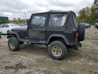1994 Jeep Wrangler S with VIN 1J4FY19P6RP453045, listed as a Copart auction lot 73837484 with 165,406 mi miles and Clean Title. Bid and sale history available at carsss.com. Image 2.