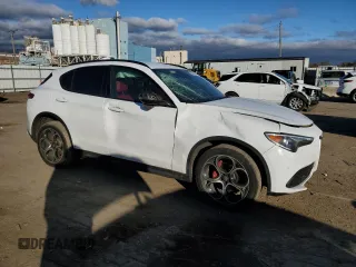 2019 Alfa Romeo Stelvio Ti with VIN ZASPAKBN7K7C50837, listed as a Copart auction lot 80262404 with Not provided miles and Salvage title. Bid and sale history available at DreamBid. Image 4.