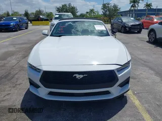 2025 Ford Mustang EcoBoost with VIN 1FAGP8UH4S5105984, listed as a IAAI auction lot 42144715 with 3,573 mi miles. Bid and sale history available at carsss.com. Image 12.
