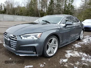 2018 Audi A5 Sportback Premium Plus с VIN WAUENCF5XJA133790, выставлен на аукционе Copart как лот 53455165 с пробегом 108 963 миль миль и Чистый • Clean title. История ставок и продаж доступна на DreamBid. Изображение 1.